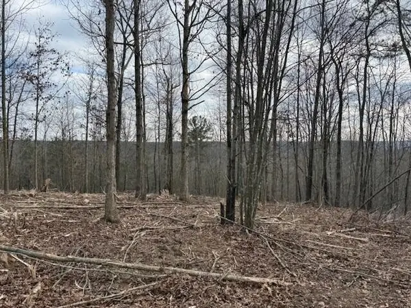 11 South Pittsburg Mountain Road, South Pittsburg, TN 37380