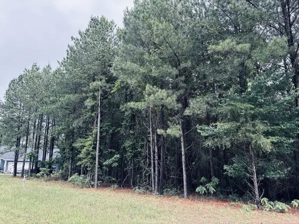 3525 Crockett Point, Jasper, TN 37347