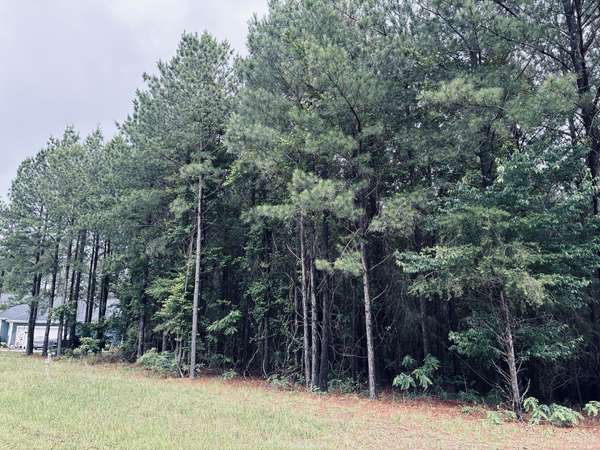 3525 Crockett Point, Jasper, TN 37347