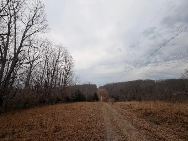 4 Blue Bird Ct, Nunnelly, TN 37137