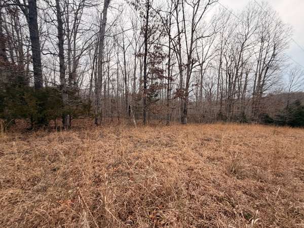 4 Blue Bird Ct, Nunnelly, TN 37137