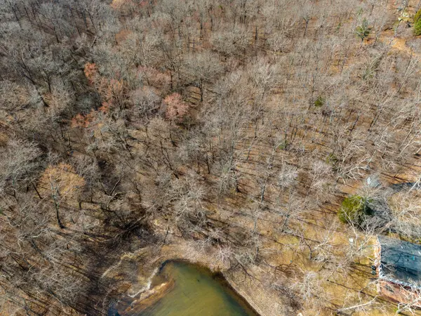 0 Swan Bay, Buchanan, TN 38222