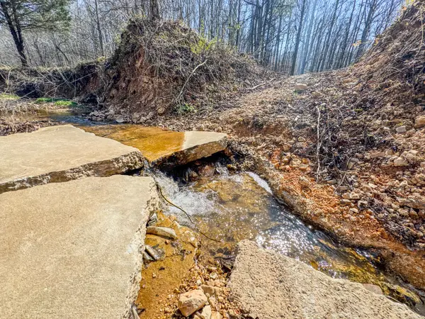 375 Roanoke Creek Rd, Collinwood, TN 38450