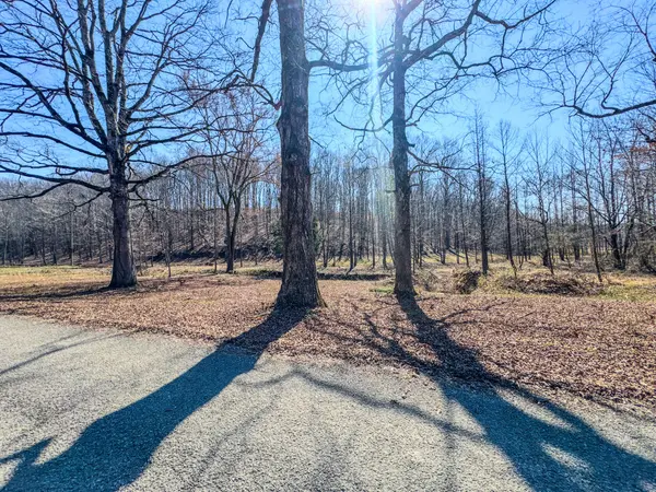375 Roanoke Creek Rd, Collinwood, TN 38450