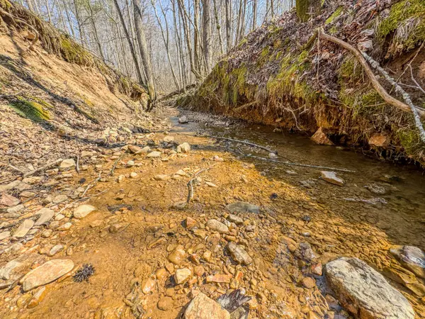 375 Roanoke Creek Rd, Collinwood, TN 38450