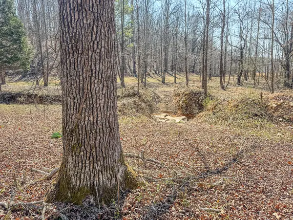 375 Roanoke Creek Rd, Collinwood, TN 38450