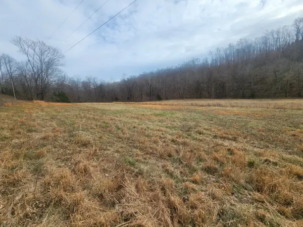 10 Blowing Springs Rd, Lawrenceburg, TN 38464