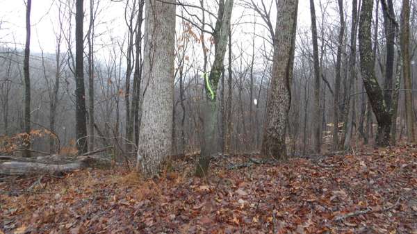 0 Savannah Drive, Smithville, TN 37166