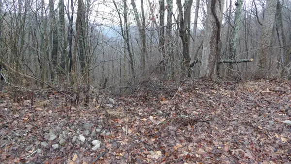 0 Savannah Drive, Smithville, TN 37166