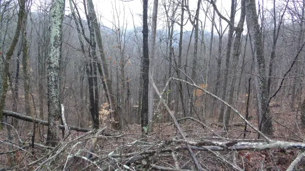 0 Savannah Drive, Smithville, TN 37166