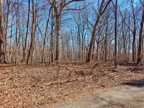 0 Sykes Branch Rd, Eva, TN 38333