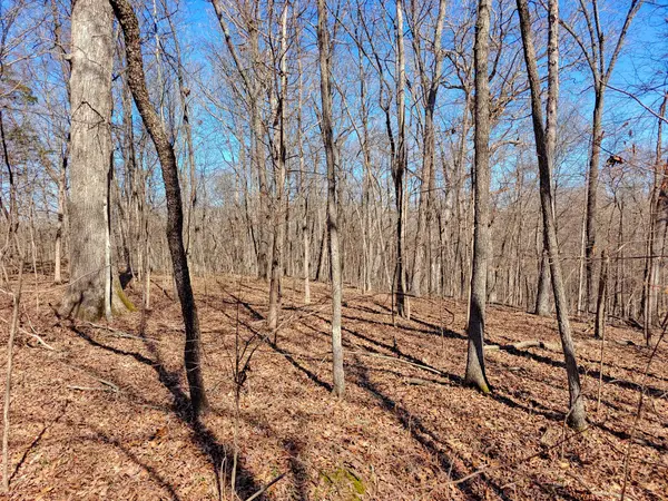 0 Sykes Branch Rd, Eva, TN 38333