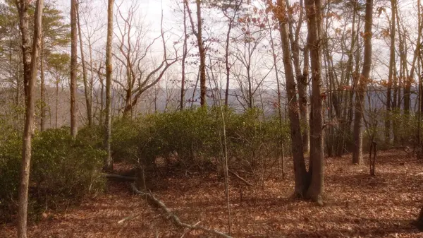 0 Ravens Den Rd, Sewanee, TN 37375