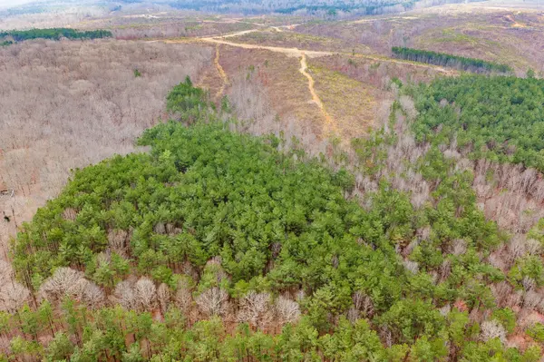 0 Rockport McIllwain Rd, Holladay, TN 38341