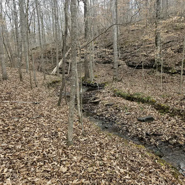 0 Jupiter dr, Ashland City, TN 37015