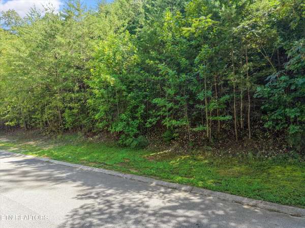0 The Battery, Kingston, TN 37763