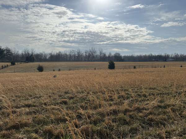 777 Mount Vernon Rd, Bethpage, TN 37022