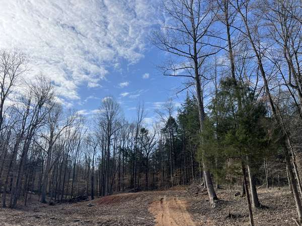 0 Excalibur Trail, Cedar Grove, TN 38321