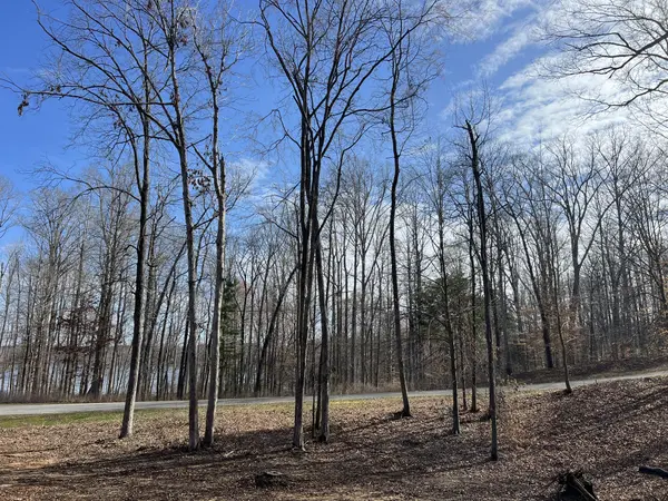 0 Excalibur Trail, Cedar Grove, TN 38321