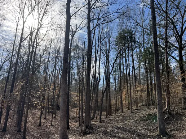 0 Excalibur Trail, Cedar Grove, TN 38321