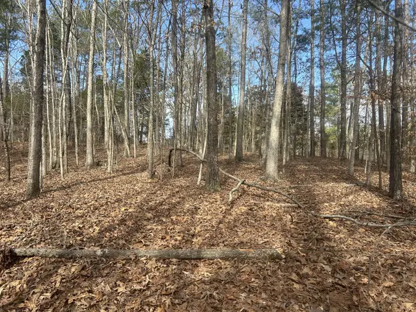 0 Mount Carmel Rd, Camden, TN 38320