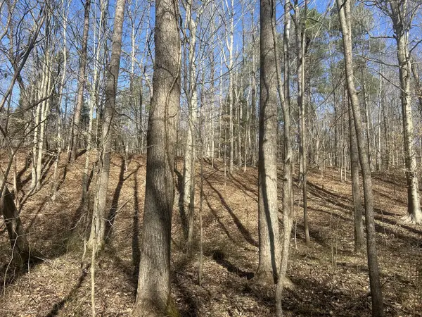 0 Mount Carmel Rd, Camden, TN 38320