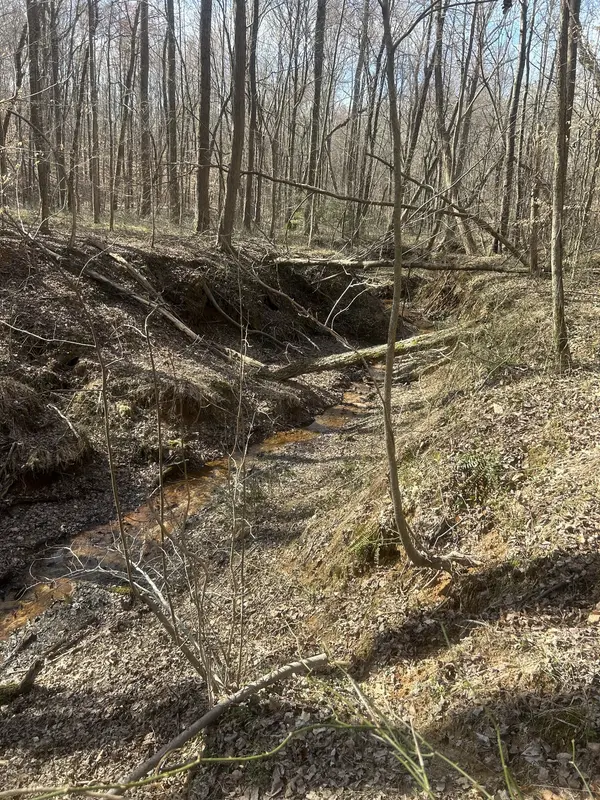 0 Mount Carmel Rd, Camden, TN 38320