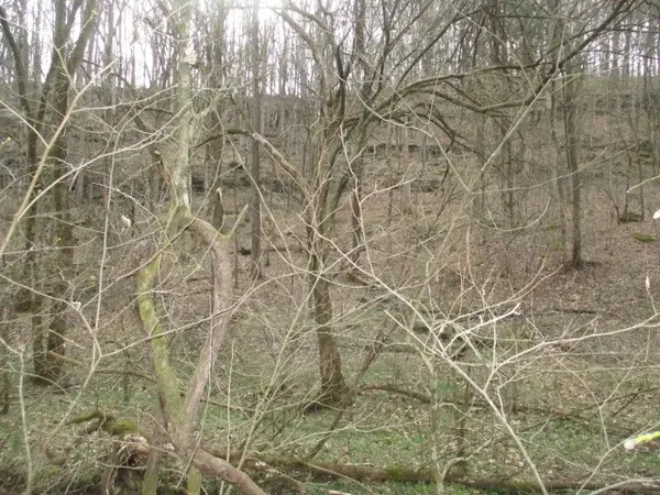 0 Rogues Fork Creek Road, Bethpage, TN 37022