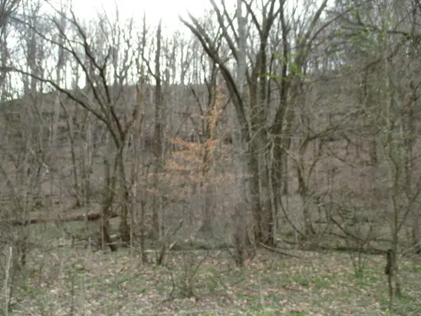 0 Rogues Fork Creek Road, Bethpage, TN 37022