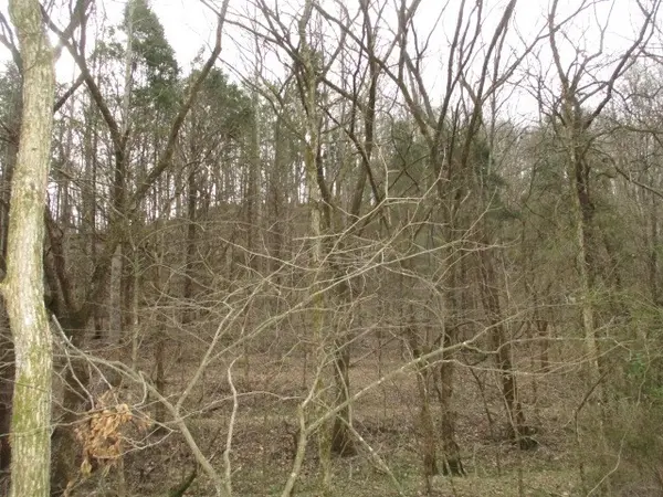 0 Rogues Fork Creek Road, Bethpage, TN 37022