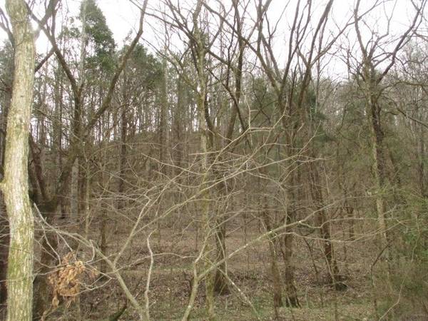 0 Rogues Fork Creek Road, Bethpage, TN 37022