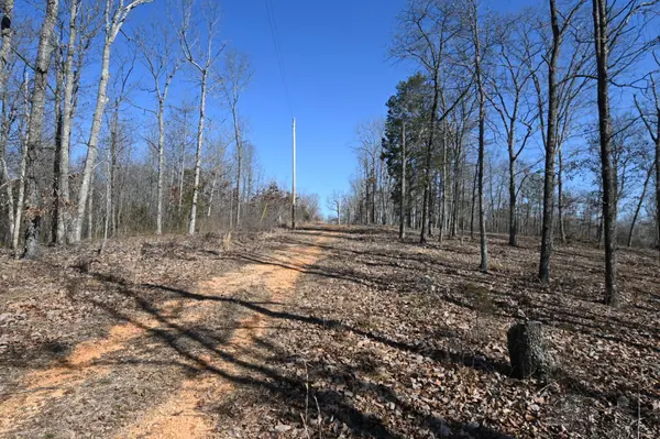 117 Wyatt Ln, Linden, TN 37096
