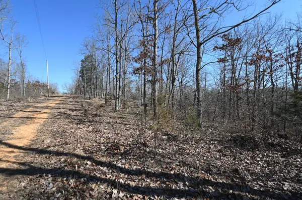 117 Wyatt Ln, Linden, TN 37096