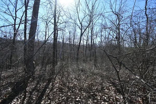117 Wyatt Ln, Linden, TN 37096