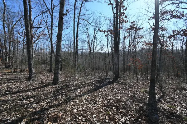 117 Wyatt Ln, Linden, TN 37096