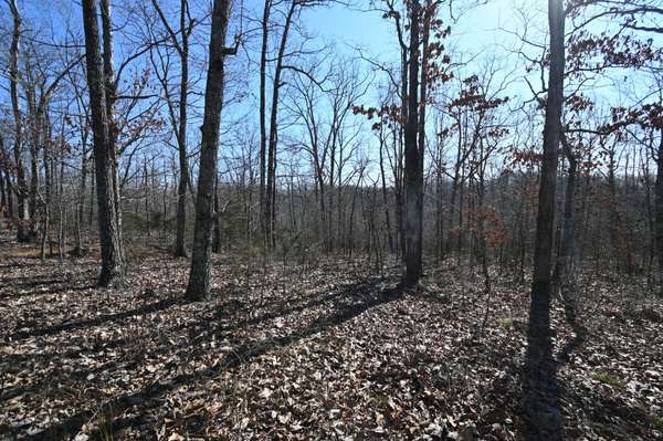 117 Wyatt Ln, Linden, TN 37096