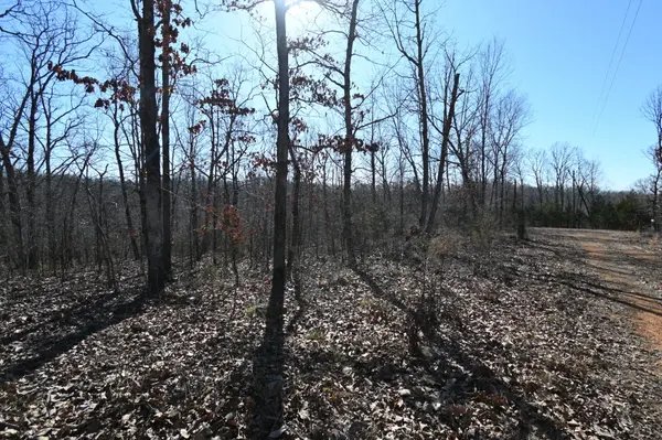 117 Wyatt Ln, Linden, TN 37096