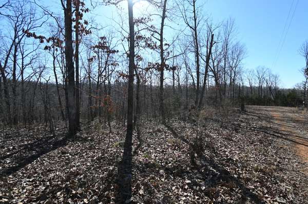 117 Wyatt Ln, Linden, TN 37096