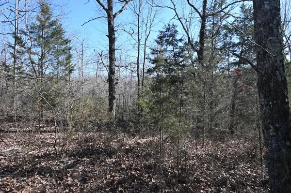 143 Wyatt Ln, Linden, TN 37096