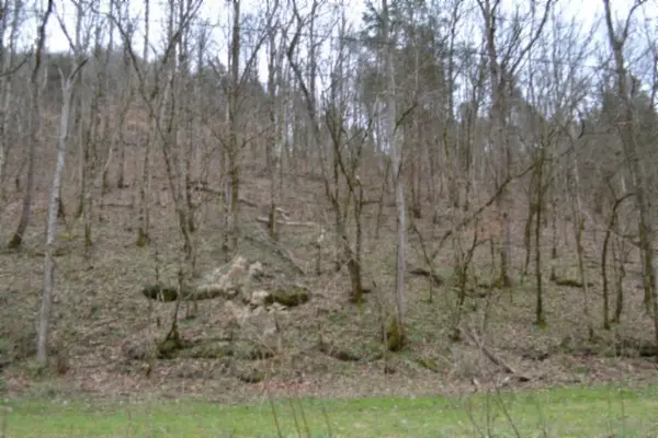 290 Hazel Huffines Ln, Whitleyville, TN 38588