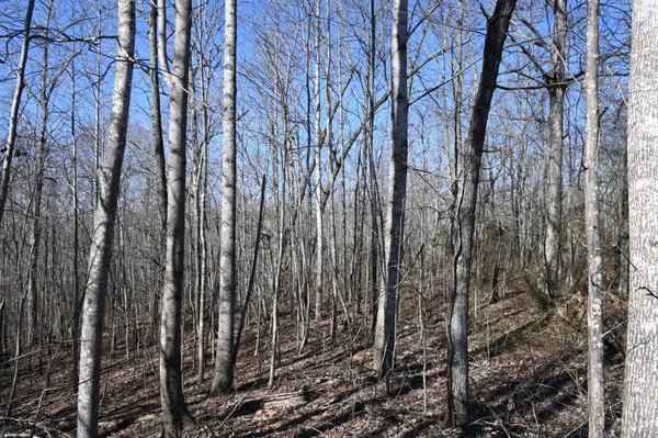2172 Airport Ridge Rd, Linden, TN 37096