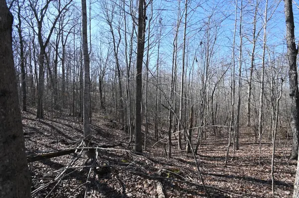2172 Airport Ridge Rd, Linden, TN 37096