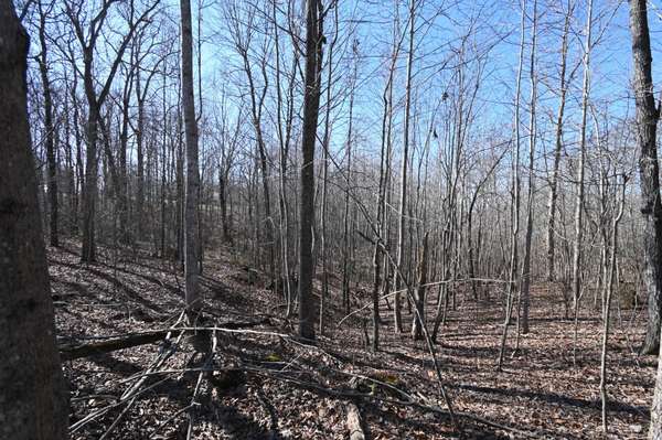 2172 Airport Ridge Rd, Linden, TN 37096