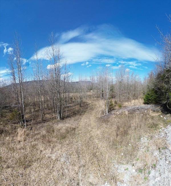 0 Francis Springs Road, Whitwell, TN 37397