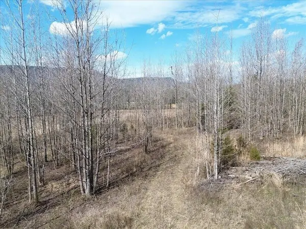 0 Francis Springs Road, Whitwell, TN 37397