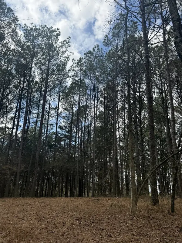 5583 Pedigap Rd, Morrison, TN 37357