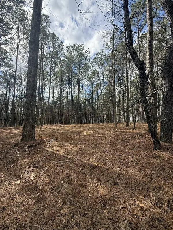5583 Pedigap Rd, Morrison, TN 37357