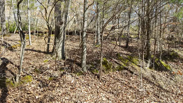 0 HWY 100, Nashville, TN 37221