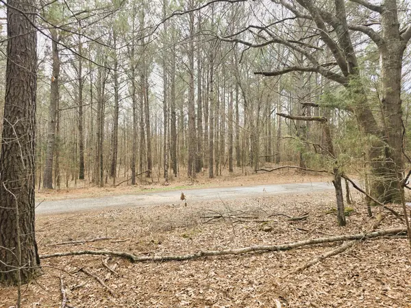 0 Zig Zag Rd, Big Sandy, TN 38221