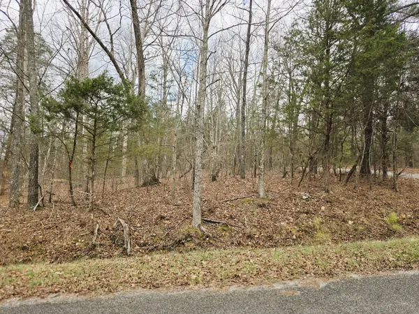 0 Ramblingwood Dr, Big Sandy, TN 38221